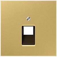 Лицевая панель Jung LS990 metal для 1-м. розетки RJ11/RJ45 латунь картинка